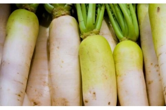 冬天吃根菜超养生 哪些菜属于根菜